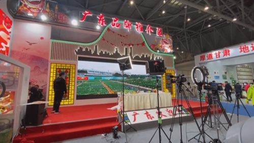 揭陽(yáng)20家企業(yè)亮相第十八屆中國(guó)國(guó)際農(nóng)產(chǎn)品交易會(huì)，展示優(yōu)質(zhì)農(nóng)產(chǎn)品新風(fēng)貌